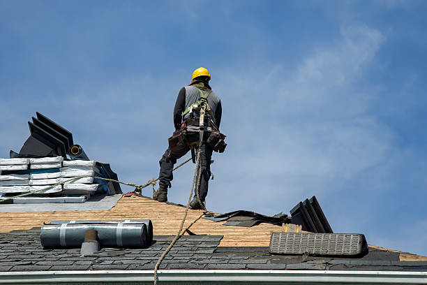 Professional Gutter Installation technician working in Dover, FL